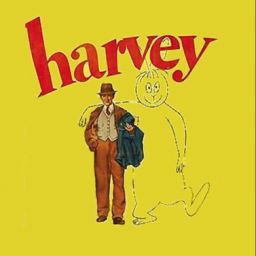 Mitglied: Harveyhase68